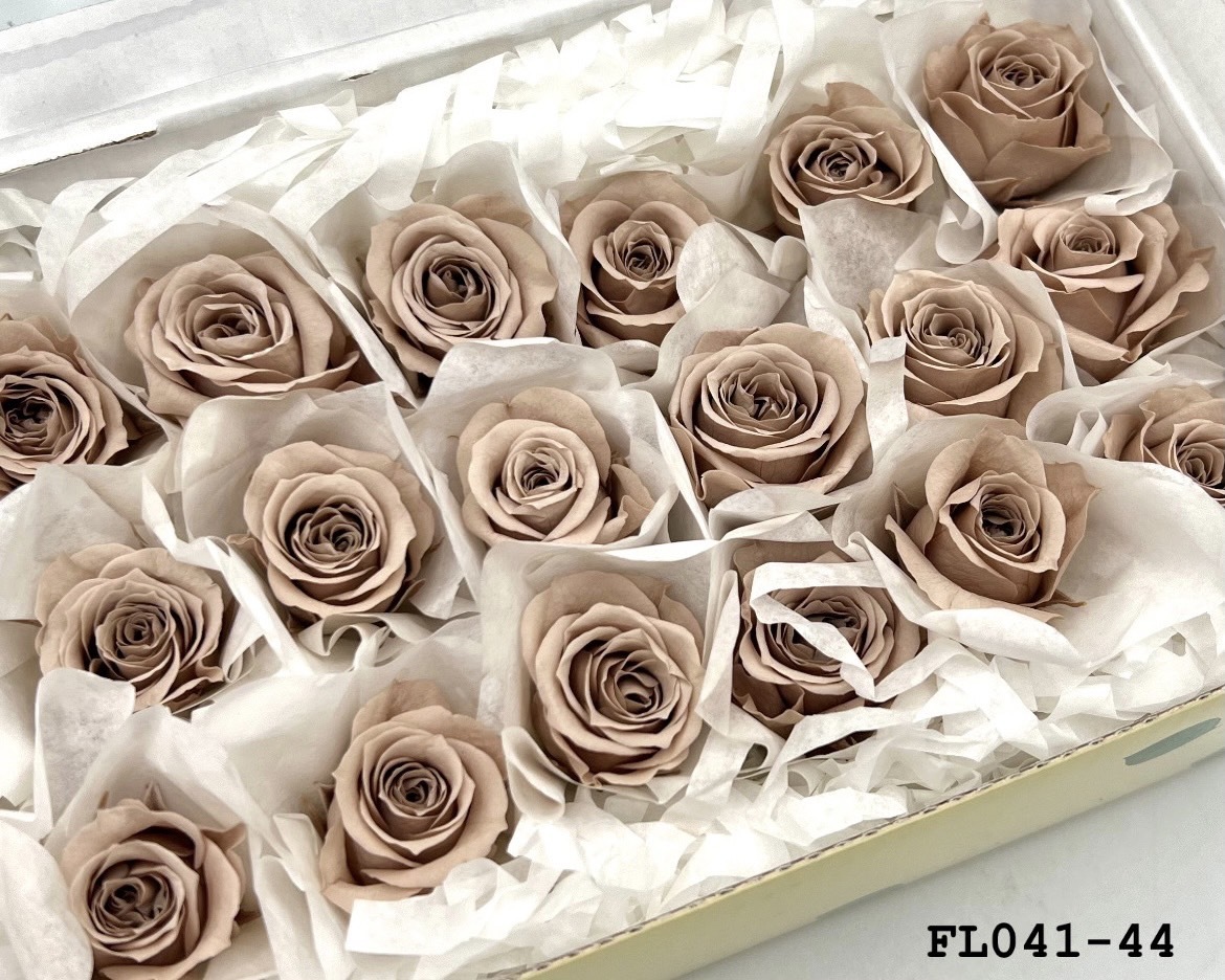 日本不凋小輪玫瑰 (18朵) FL041-44