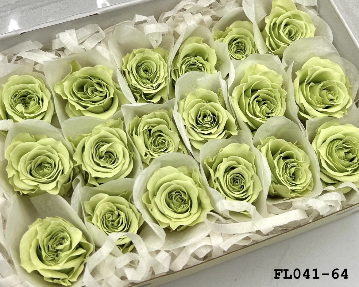 日本不凋小輪玫瑰 (18朵) FL041-64