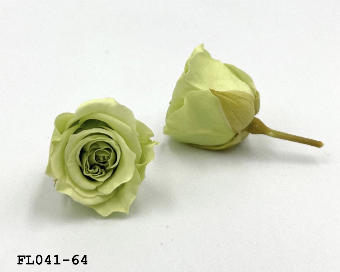 日本不凋小輪玫瑰 (18朵) FL041-64