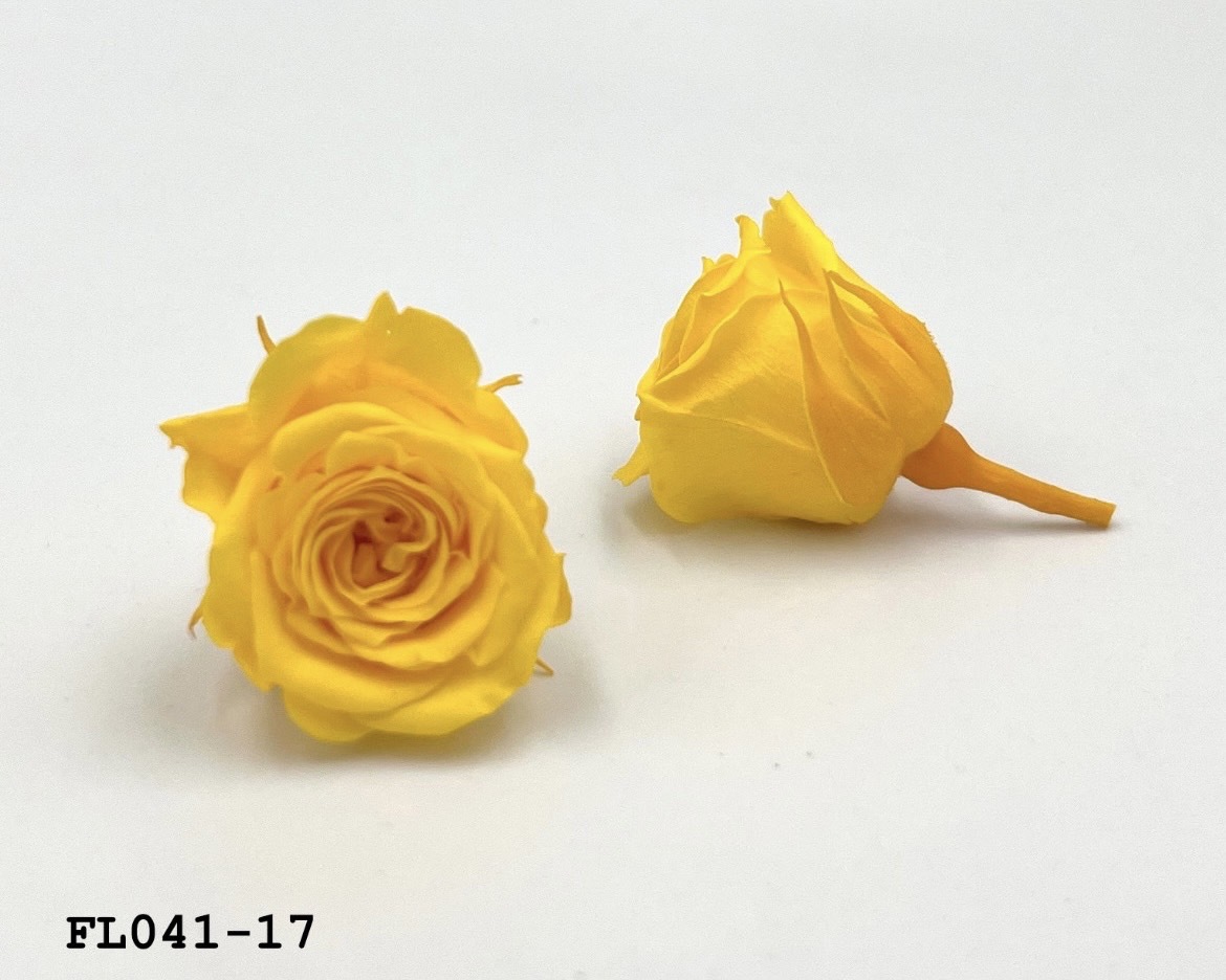 日本不凋小輪玫瑰 (18朵) FL041-17