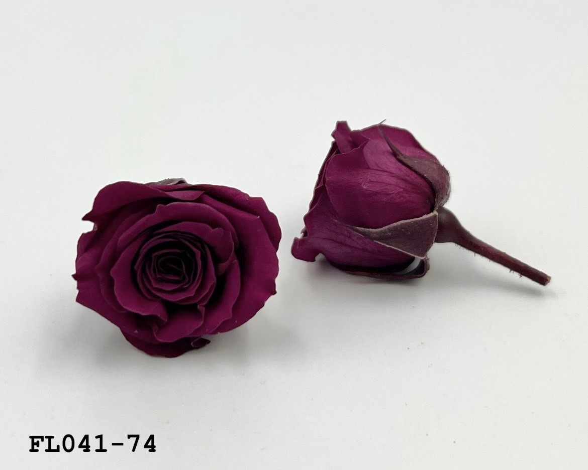 日本不凋小輪玫瑰 (18朵) FL041-74