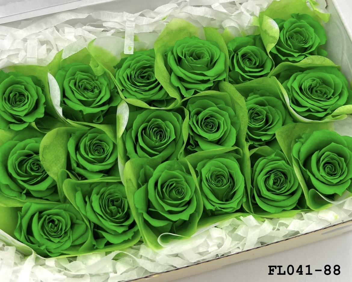 日本不凋小輪玫瑰 (18朵) FL041-88