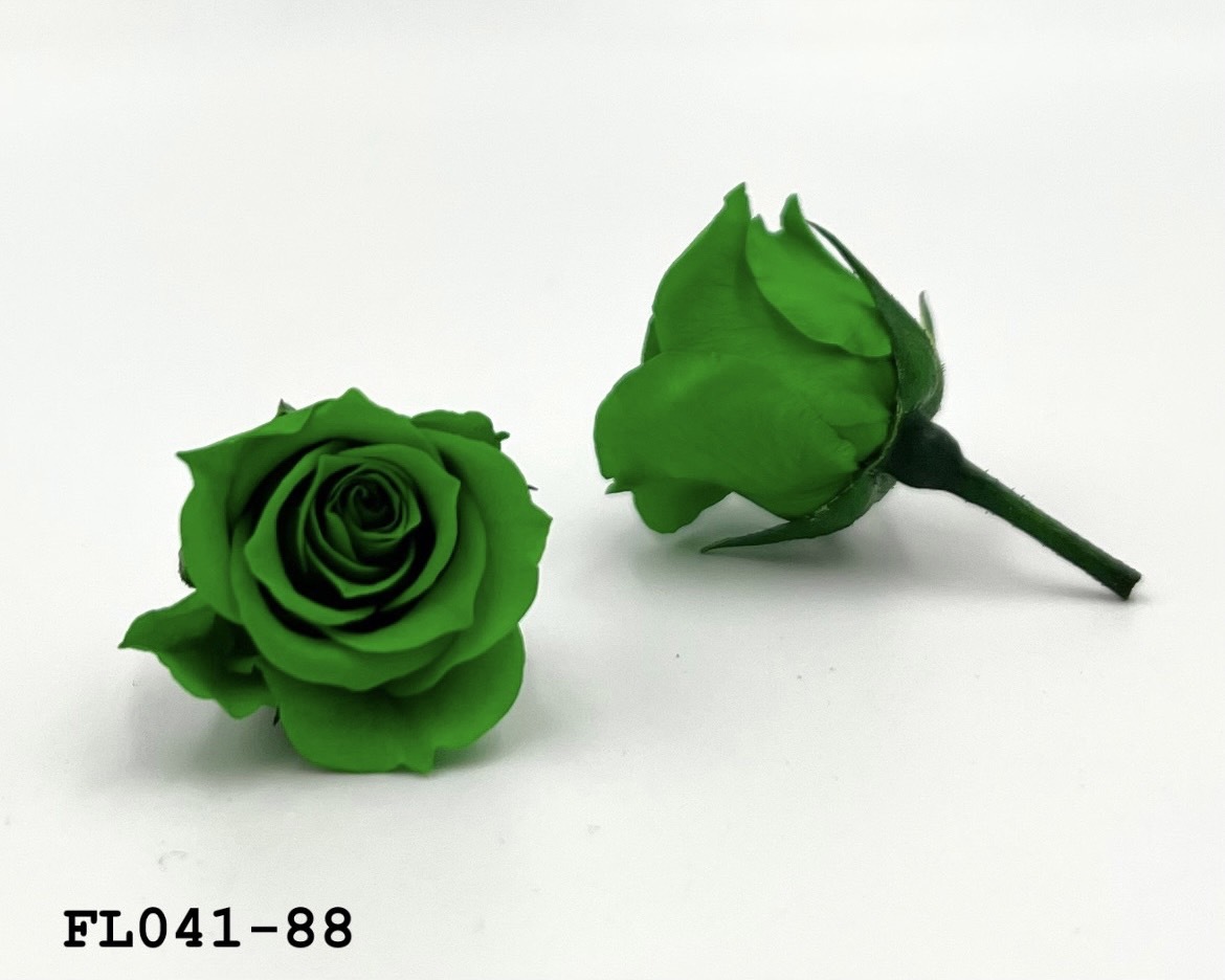 日本不凋小輪玫瑰 (18朵) FL041-88