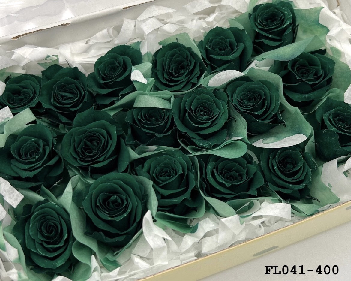 日本不凋小輪玫瑰 (18朵) FL041-400