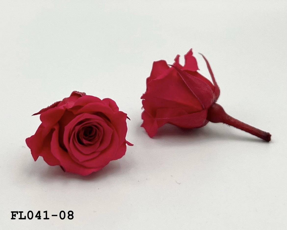 日本不凋小輪玫瑰 (18朵) FL041-08