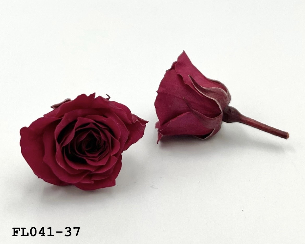 日本不凋小輪玫瑰 (18朵) FL041-37