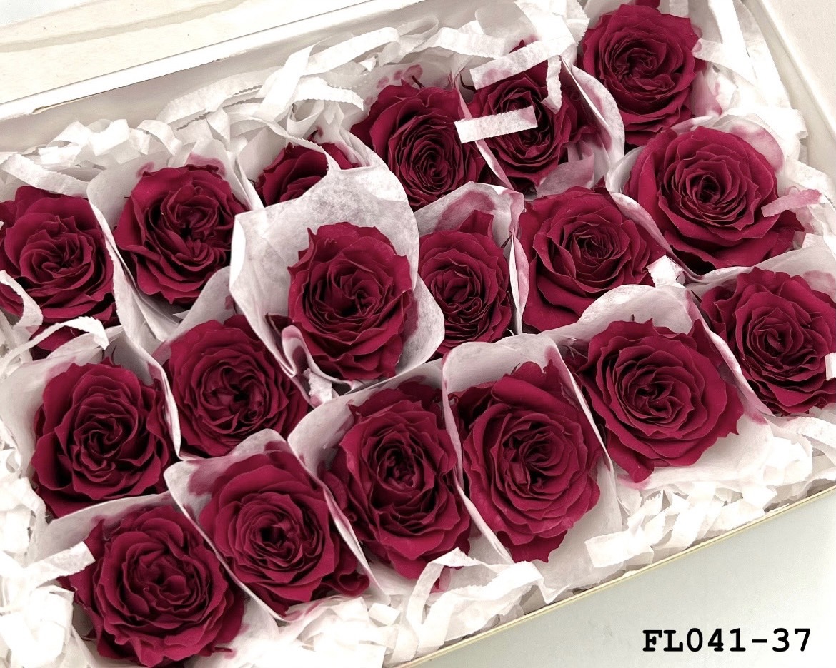 日本不凋小輪玫瑰 (18朵) FL041-37