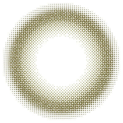 Envie 1Day Color Contact Lenses 日本Envie 每日即棄有色隱形眼鏡 10片(Minuit Moss)