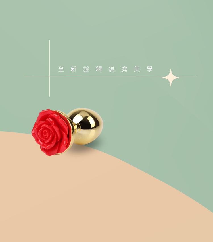 不鏽鋼肛塞 鋁合金肛塞 金屬肛塞 高級肛塞 愛心肛塞