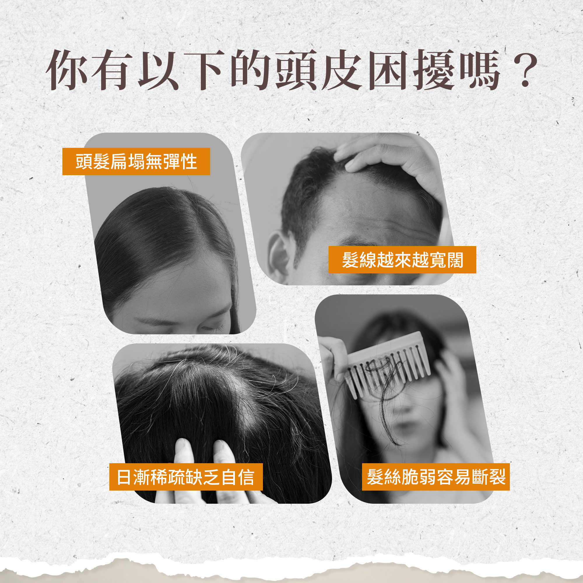 咖啡因滋養洗髮精