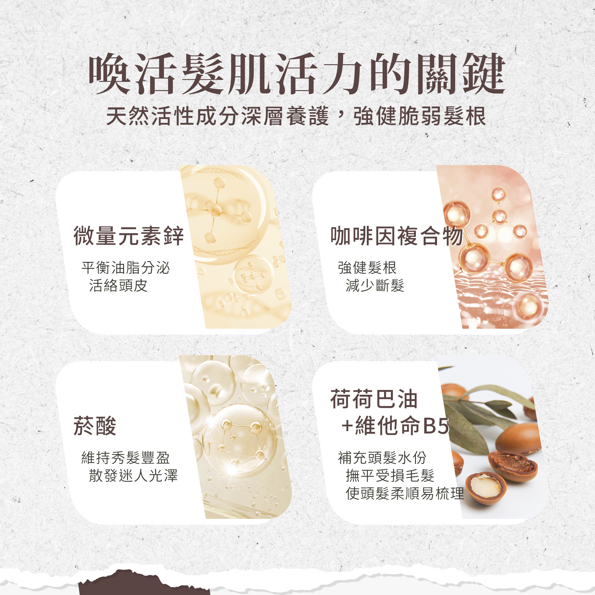 咖啡因滋養洗髮精