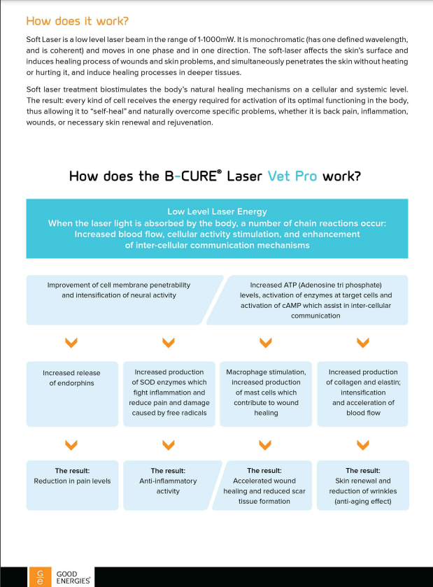 B-Cure Cold Laser Therapy Device (Pain Relief/Muscle and Joint Pain) for Dogs, Cats, Horses and Other Animals