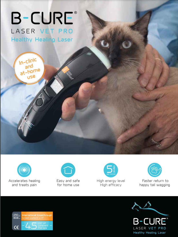 B-Cure Cold Laser Therapy Device (Pain Relief/Muscle and Joint Pain) for Dogs, Cats, Horses and Other Animals
