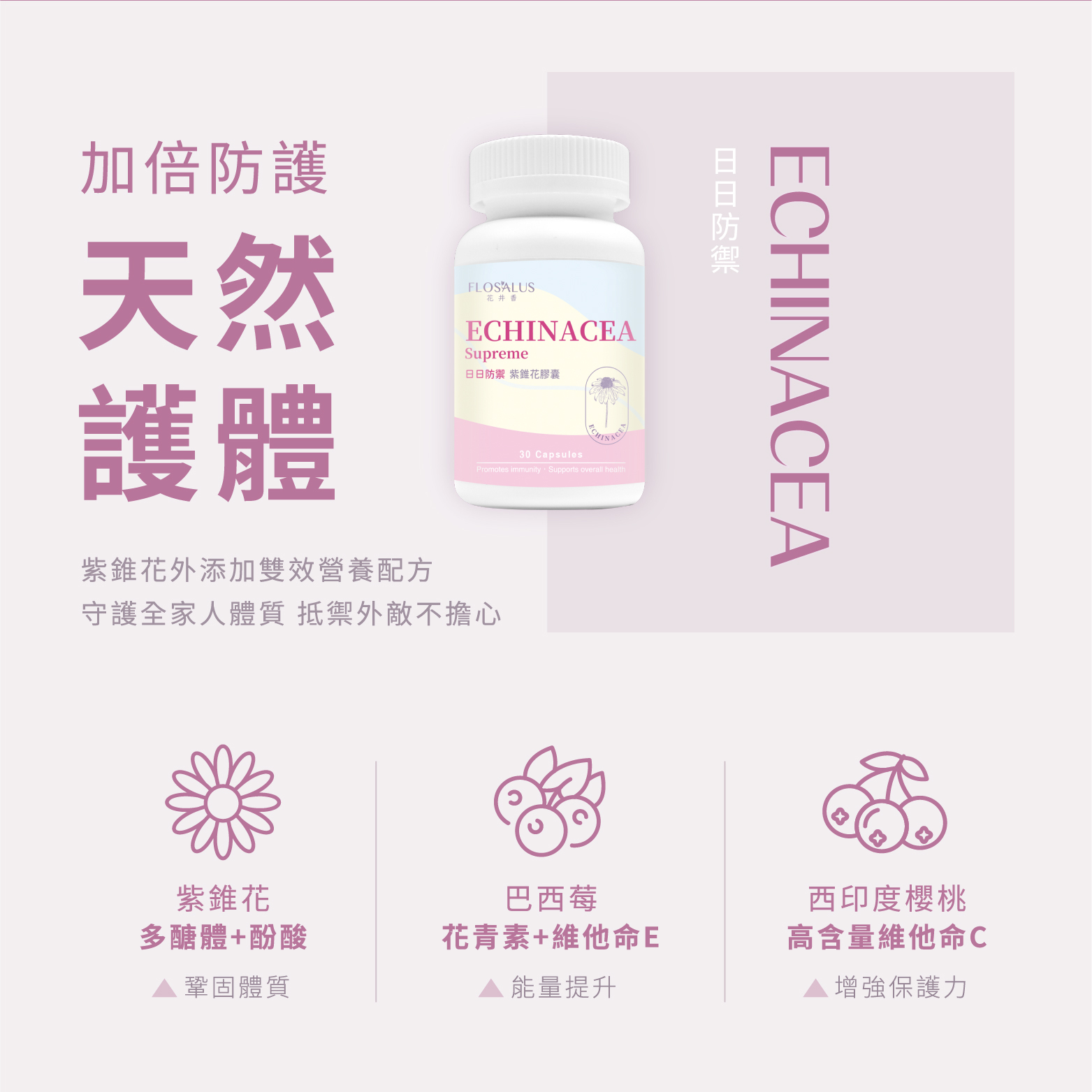 【季節轉換】日日防禦紫錐花膠囊 (30粒)