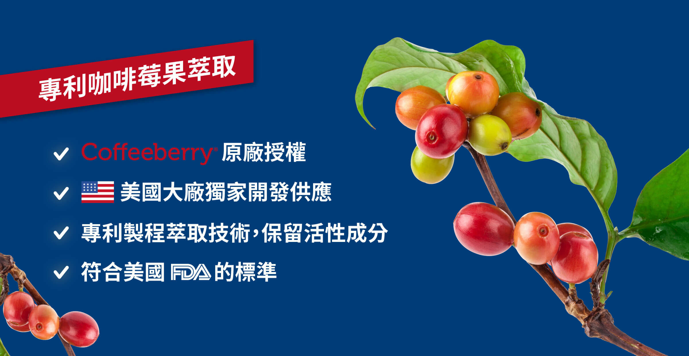 GA黃金甲GABA睿智膏添加咖啡莓果萃取