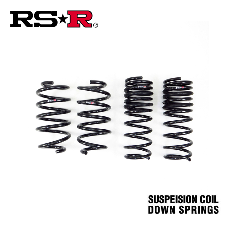 RSR DOWN 短彈簧組 SUZUKI VITARA