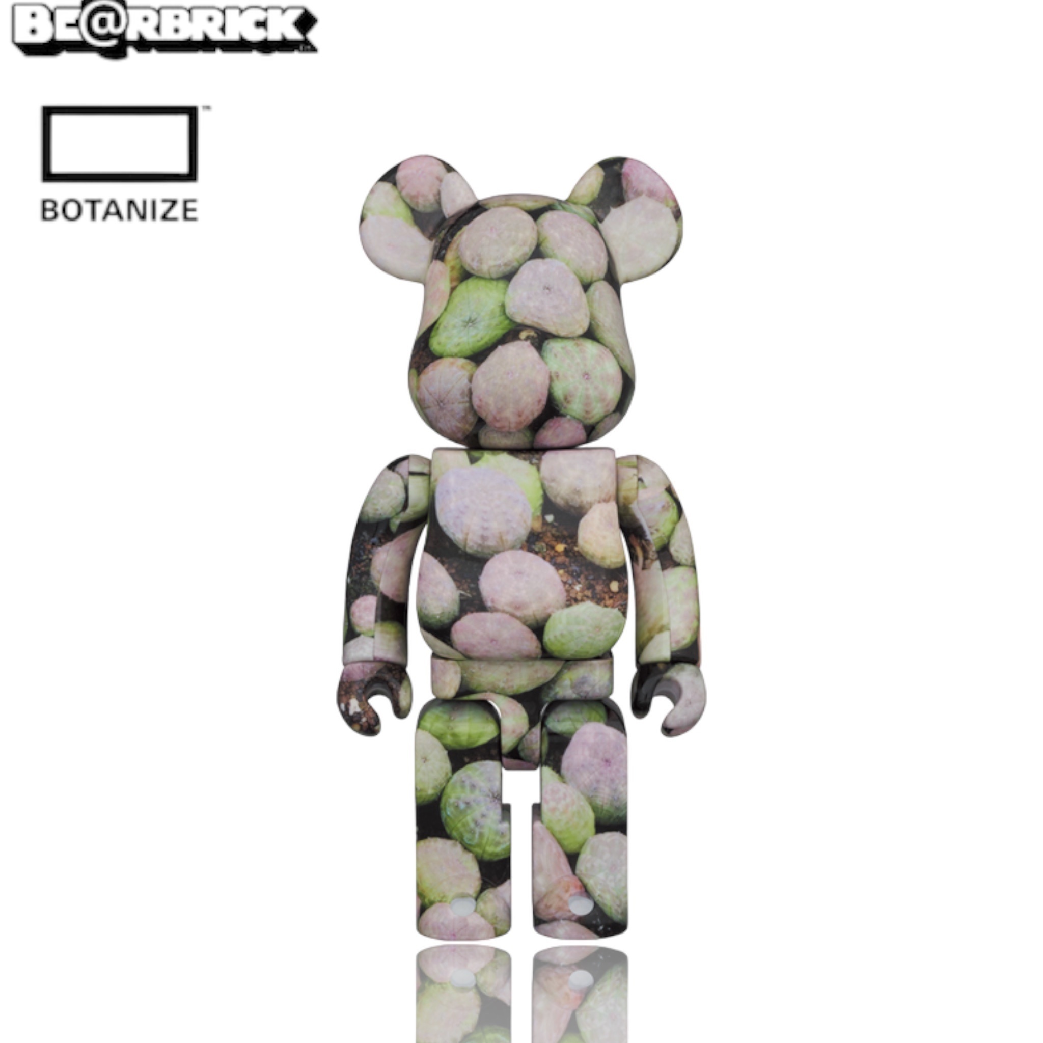 🥇現貨🥇BEARBRICK 400% BOTANIZE