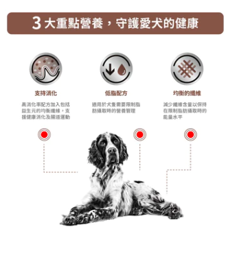 Royal Canin - 處方食品犬用腸胃低脂濕糧罐頭 200G (12罐)
