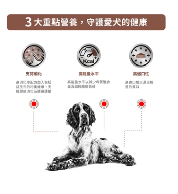 Royal Canin  - 處方食品成犬腸胃濕糧罐頭 200G ( 12罐)