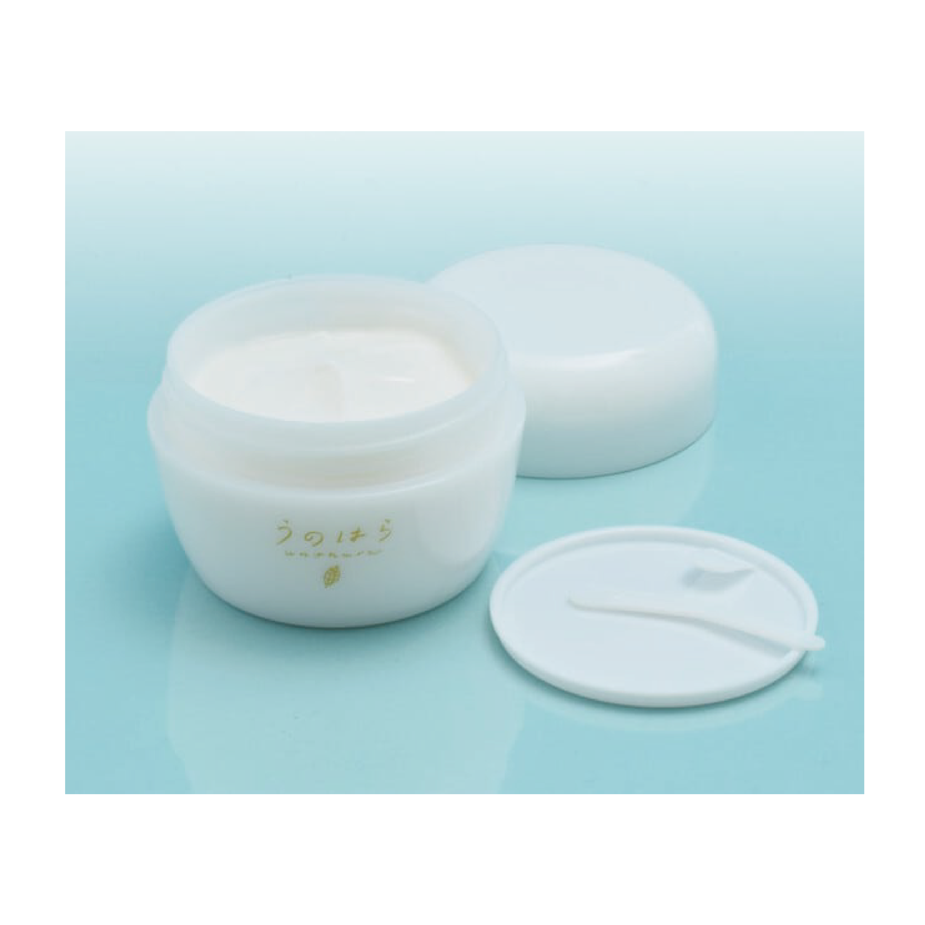 Noyama no Megumi 多合一凝膠 50g 