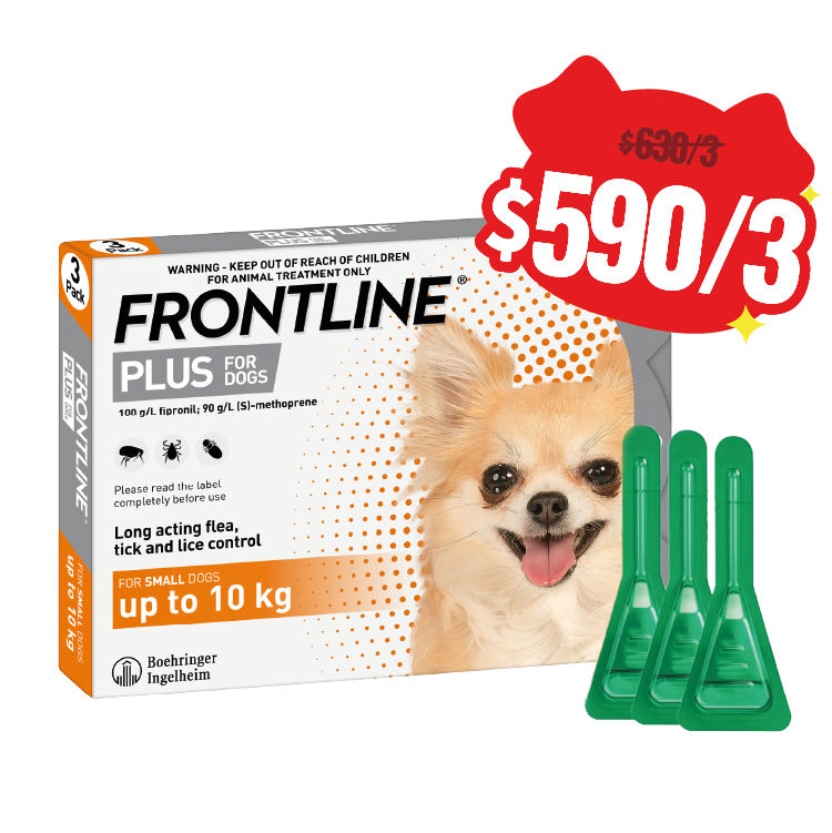 【3盒優惠】Frontline⎜Plus 殺蚤滴頸劑 0-10 KG (Dog) (已轉新包裝)
