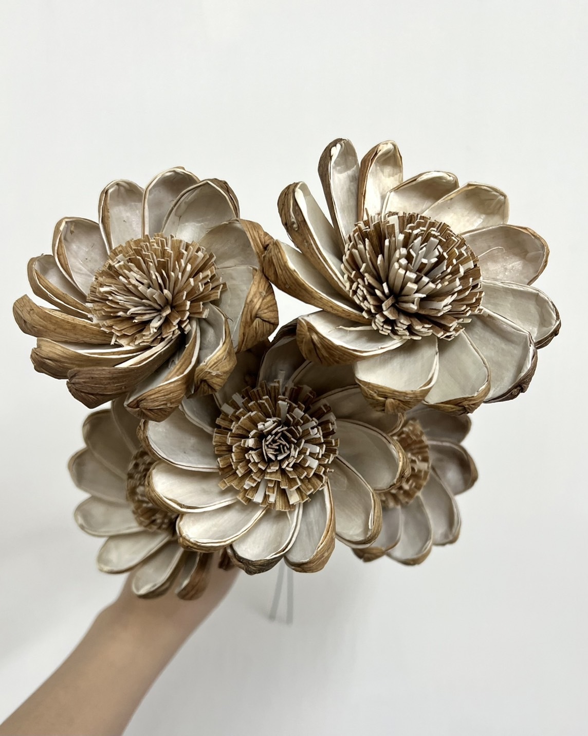 泰國索拉花 木風車 10CM  <五支一把>  (高品質)