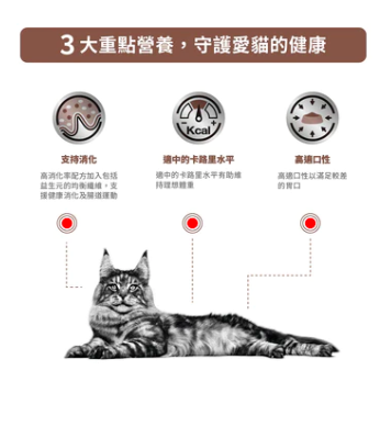Royal Canin - 處方食品成貓腸胃低卡路里乾糧   (2公斤)