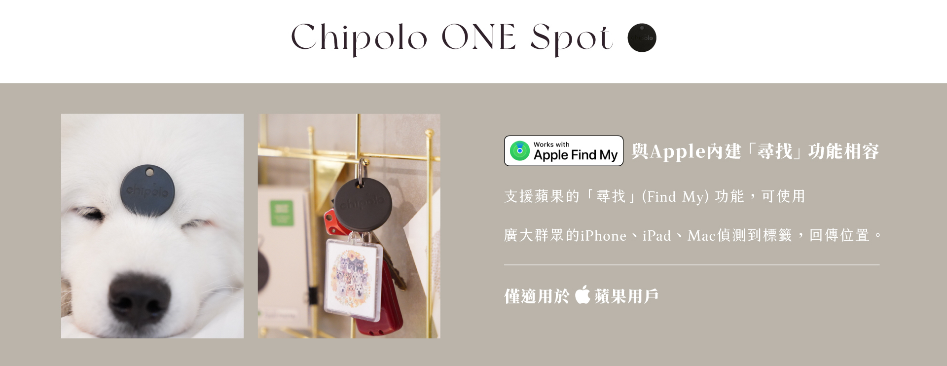 Chipolo One Spot