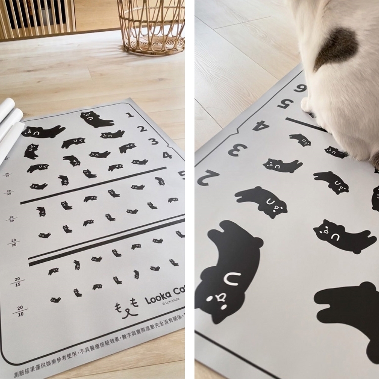 貓咪視力測驗海報