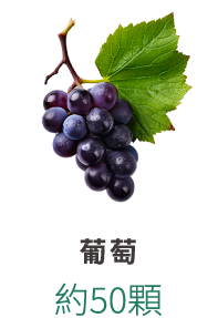 最佳的纖維補充品