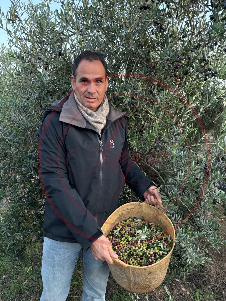 <初榨油> 西班牙原裝進口 丰鉑大地特級冷壓初榨橄欖油（1公升裝） 2025新油