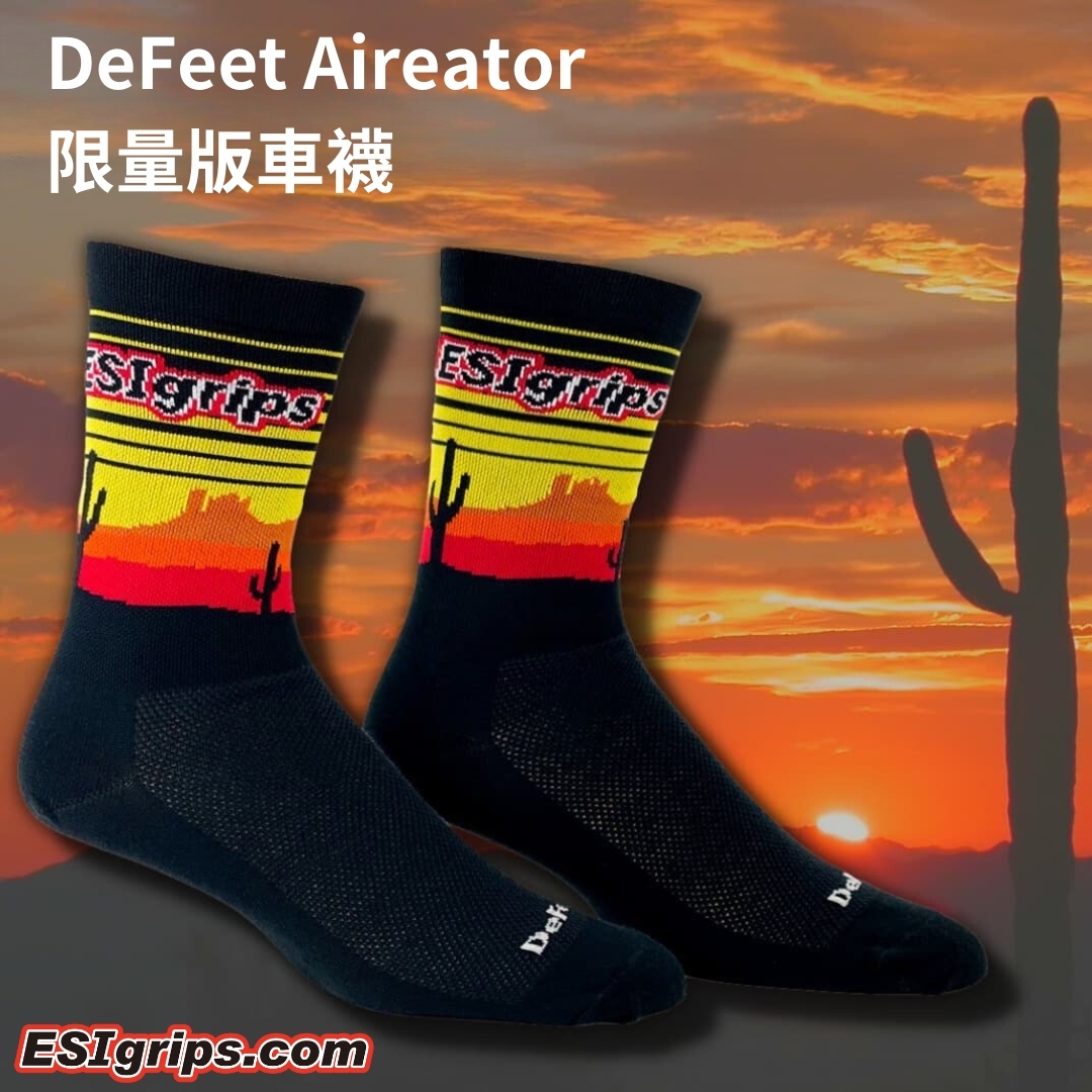 ESI DeFeet Aireator 限量版聯名車襪 (亞利桑那仙人掌圖案)