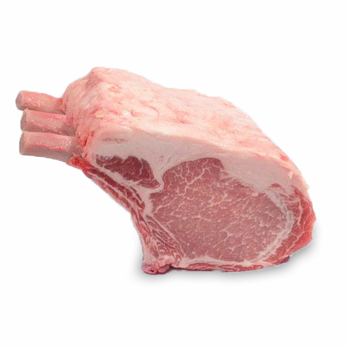 西班牙伊比利亞黑毛豬法式豬鞍架 (3-4支骨) 500g