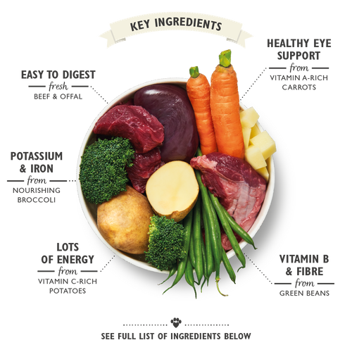 Lily's Kitchen Cottage Pie Dog Wet Food 400g x 6