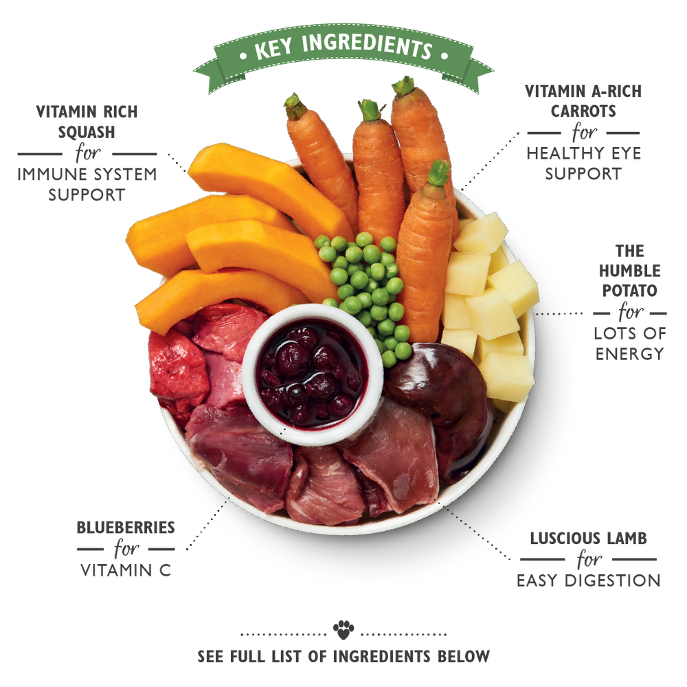 Lily's Kitchen Lamb Hotpot Dog Wet Food 400g x 6