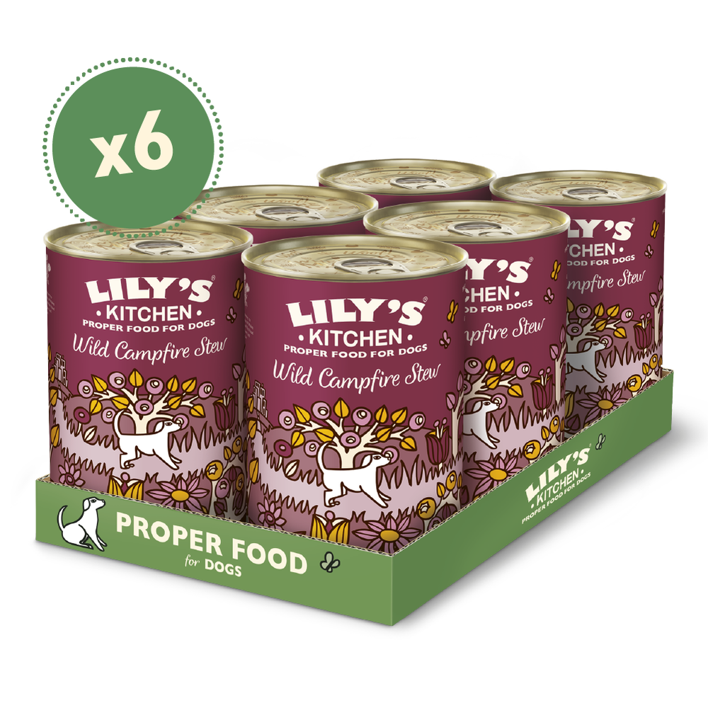Lily's Kitchen Wild Campfire Stew Dog Wet Food 400g x 6