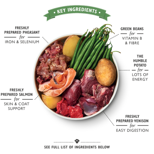 Lily's Kitchen Wild Campfire Stew Dog Wet Food 400g x 6