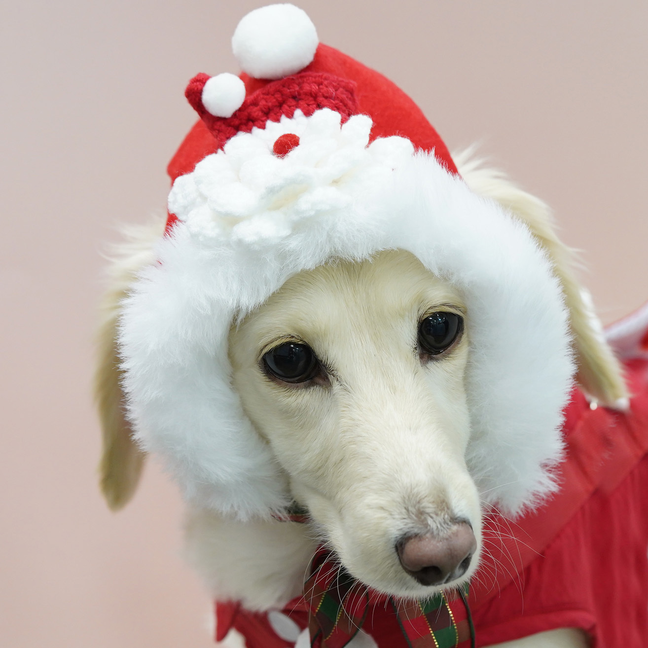 Little Santa Christmas Hat