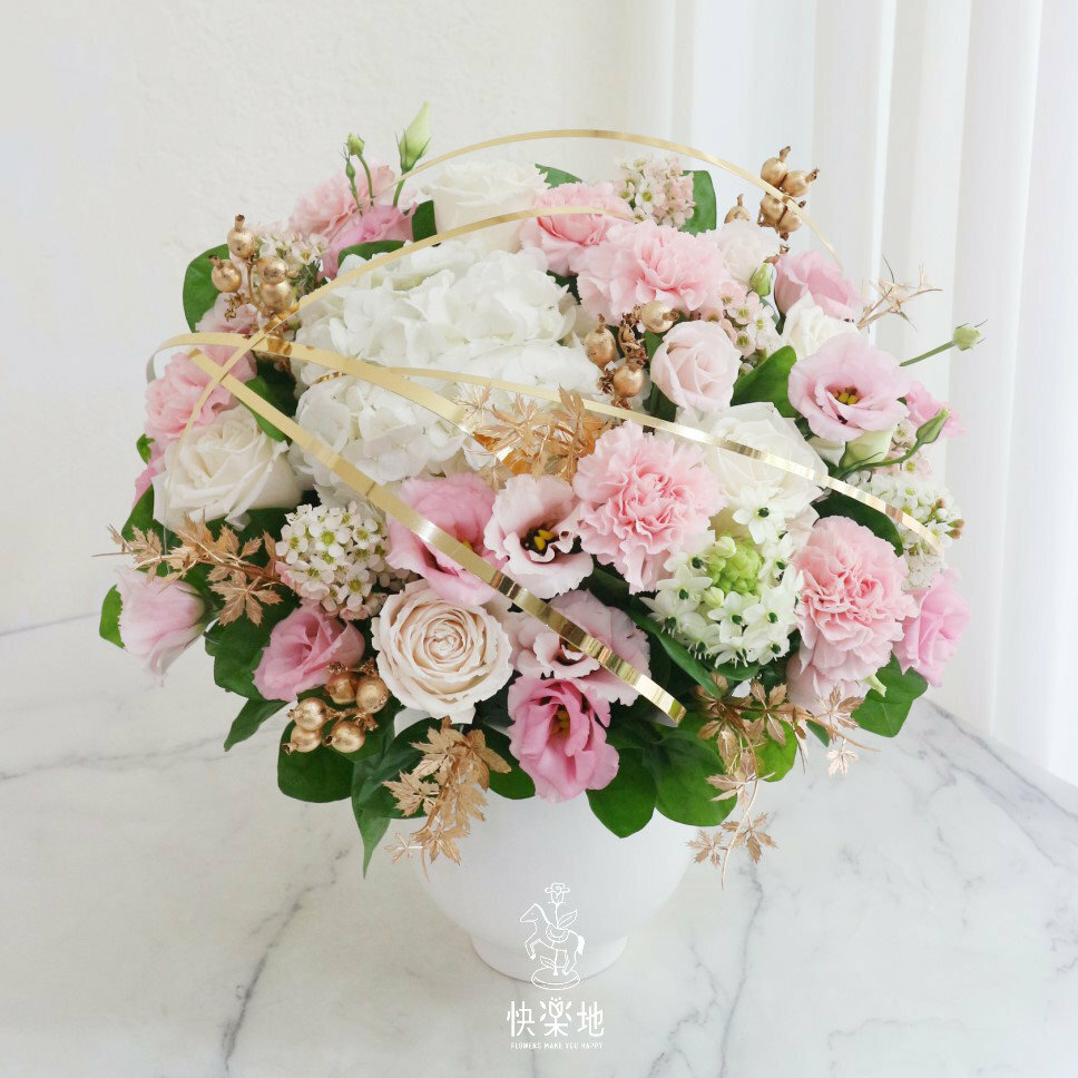 流金年華 I 盆花 AF230480