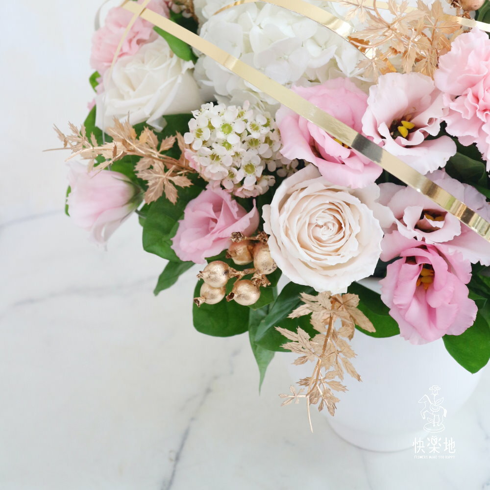 流金年華 I 盆花 AF230480