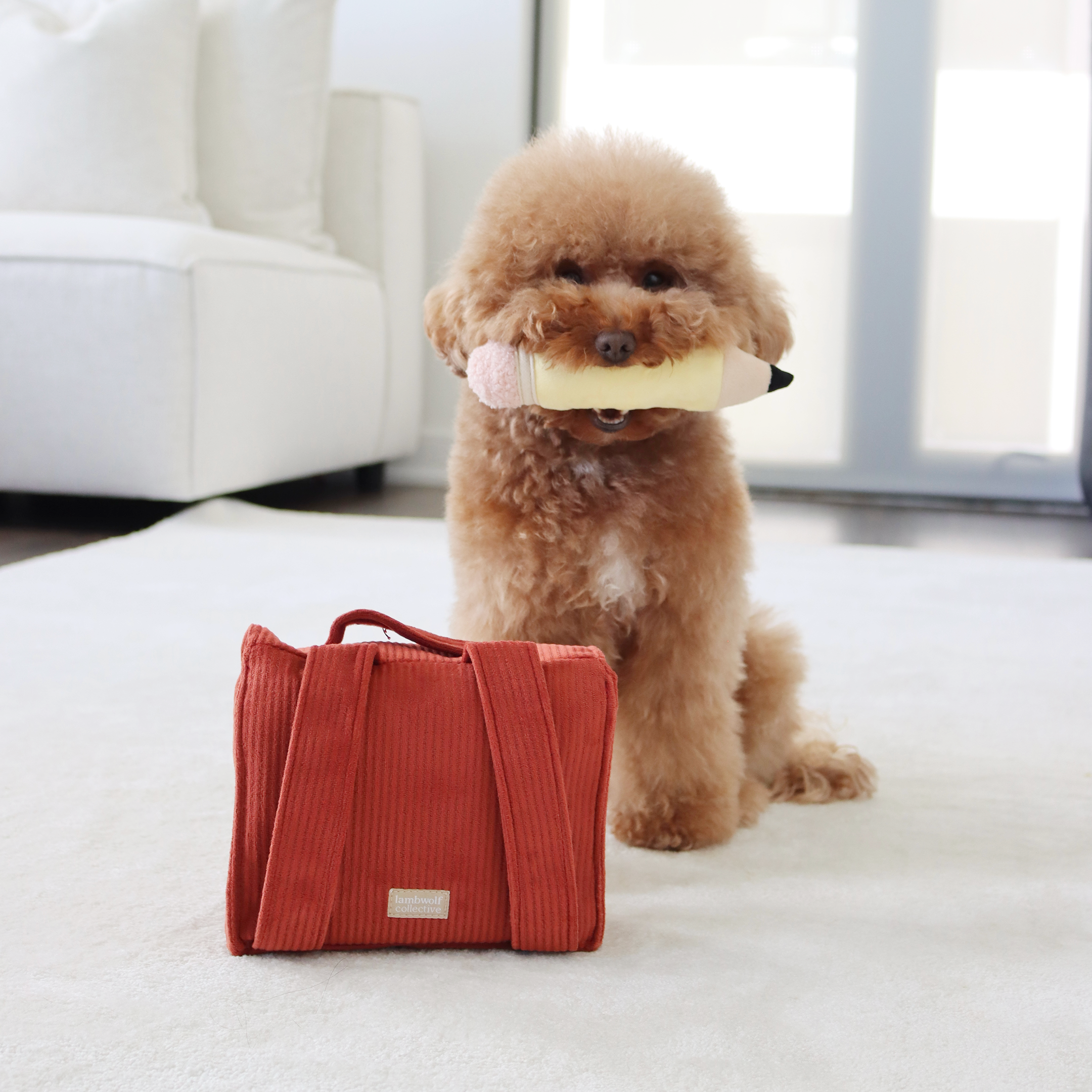 美國Lambwolf｜返校日書包