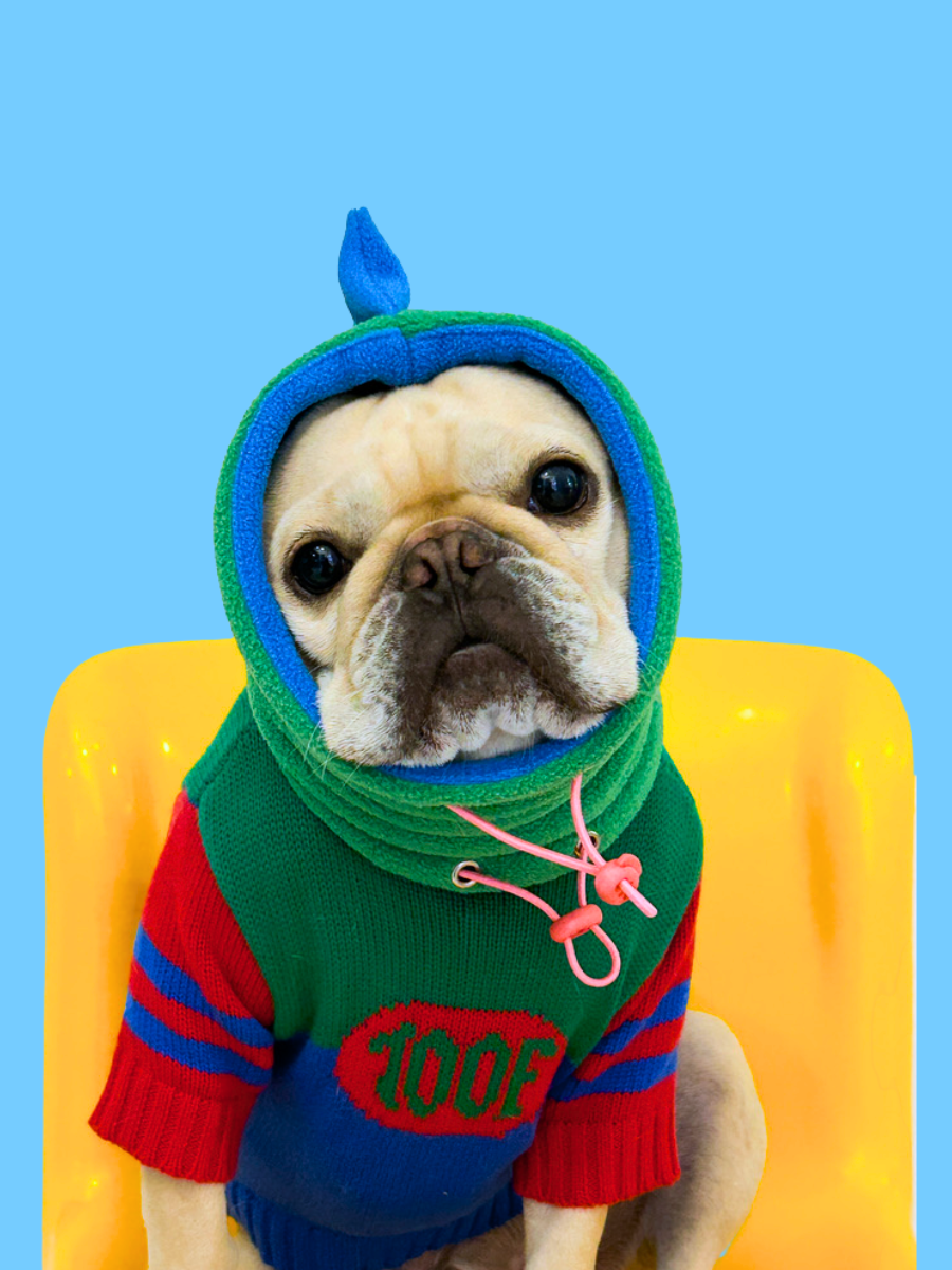 TOOF｜龍年必備的恐龍帽子（綠色）