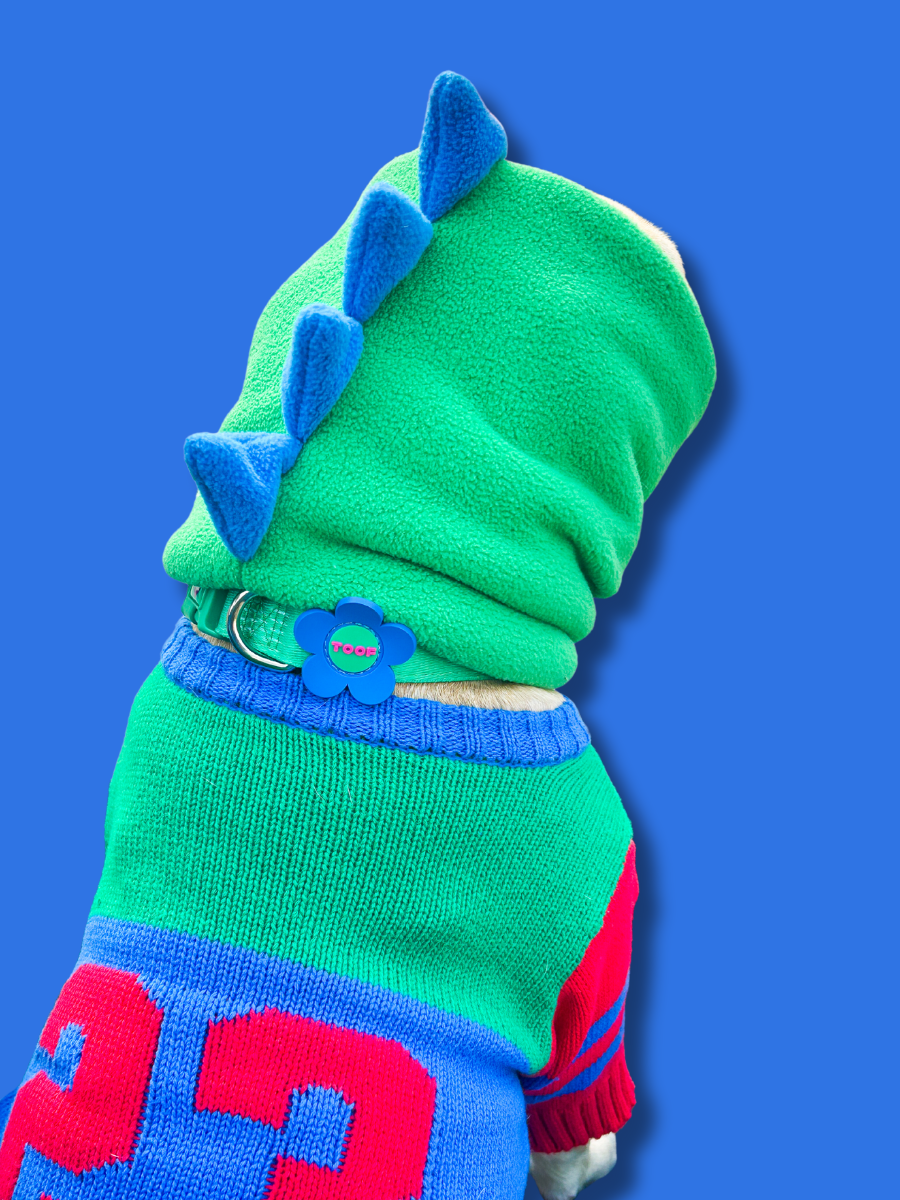 TOOF｜龍年必備的恐龍帽子（綠色）