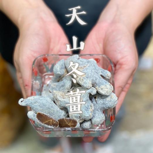 【裕生】天山冬薑 (227g) (EXP:2027.02)