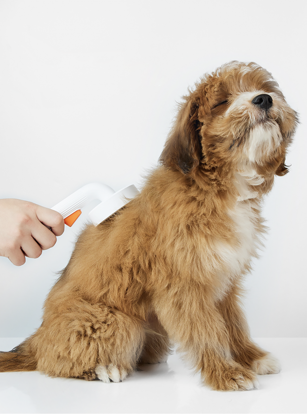 Petkit 寵物去毛針梳2.0