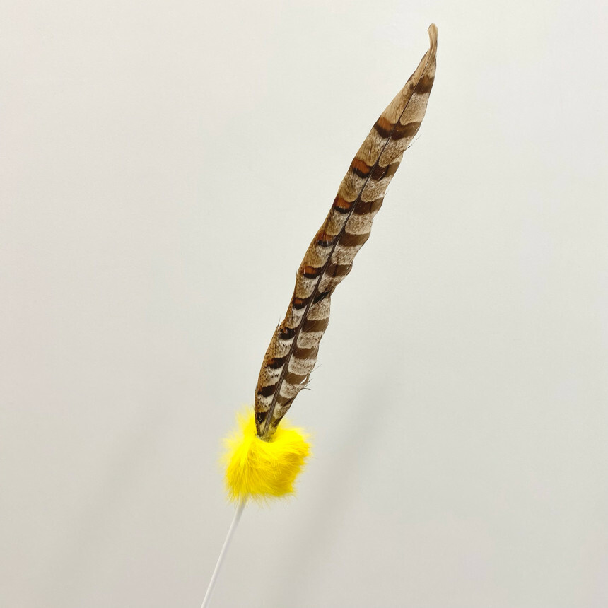 韓國手工逗貓棒｜ 超長羽毛逗貓棒(3款)