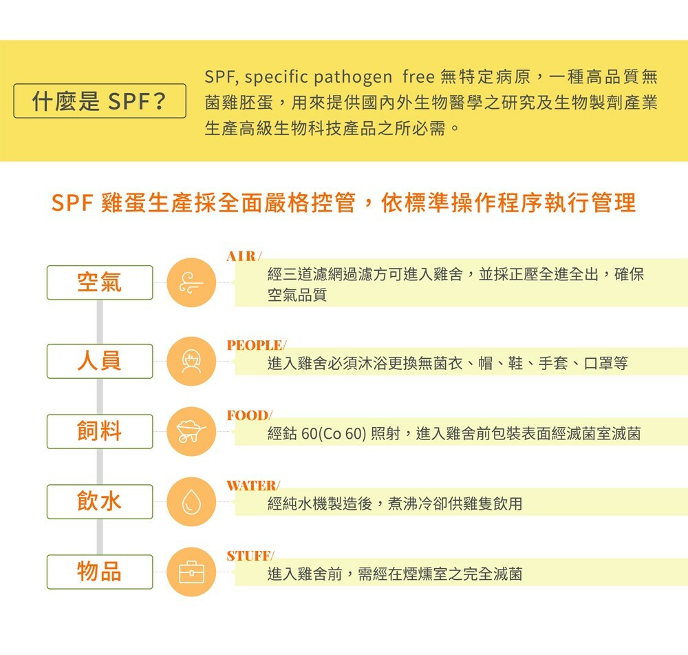 宅配美食｜嚴選優質可生食的SPF蛋製成點心，網購好吃雞蛋棒｜