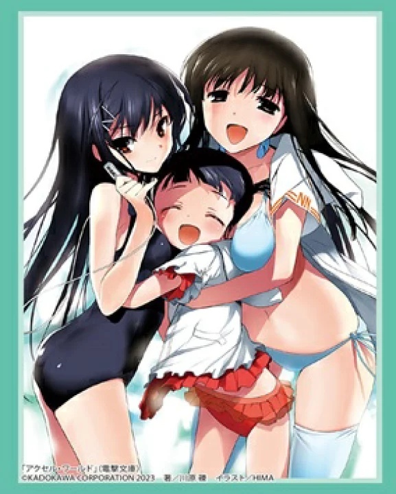 HG3952 - 電撃文庫 アクセル・ワールド『黒雪姫/倉崎楓子/四埜宮謡』