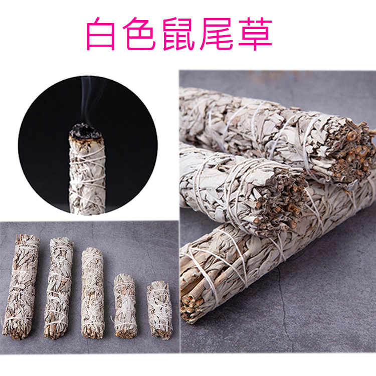 4吋 7吋白色鼠尾草 , 4吋藍鼠尾草