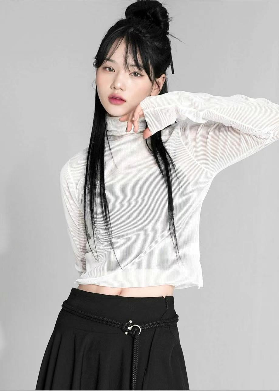 透明小性感高領上衣